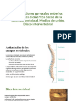 Tema 3 Articulaciones Columna