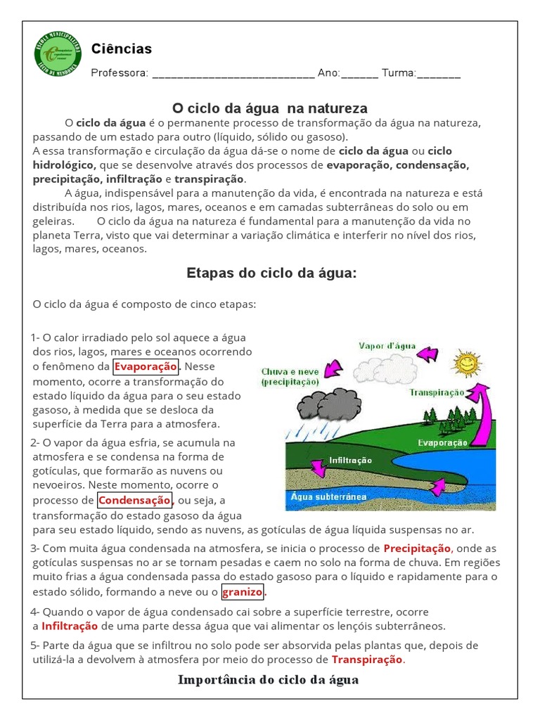 Atividade Ciencias 5 Ano | PDF | Ciclo da água | Água