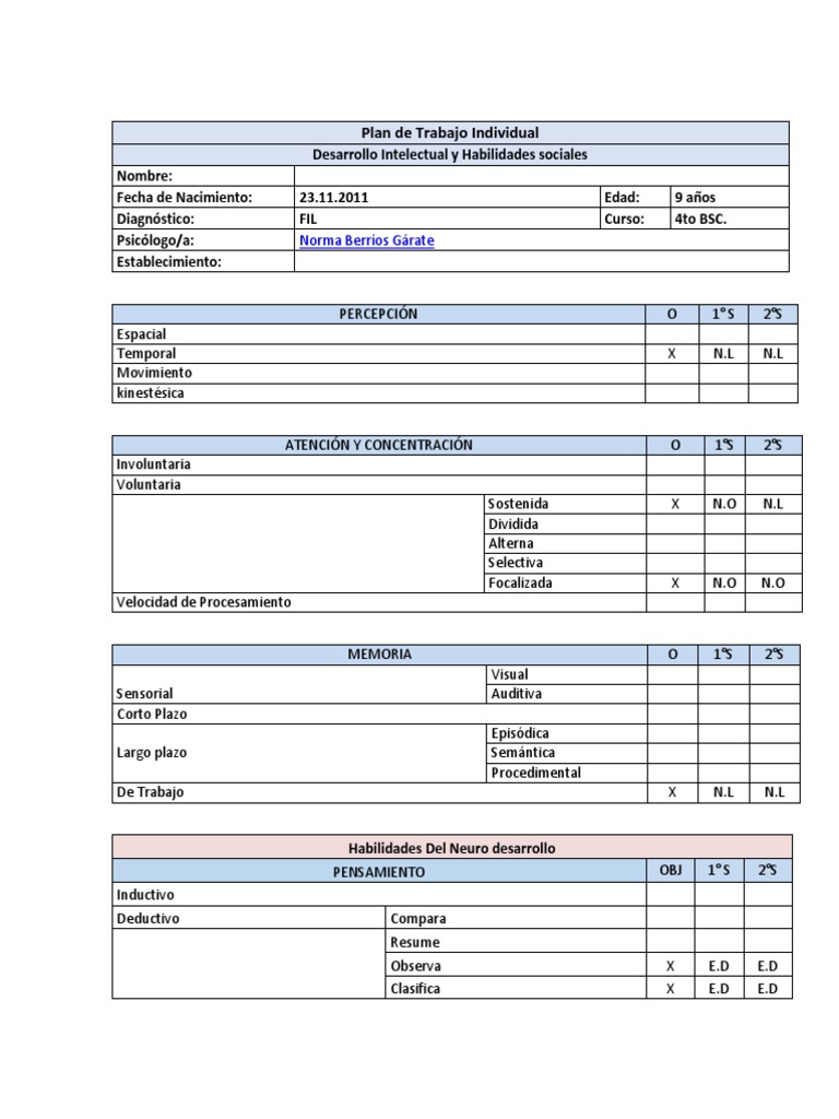Ejemplo PAI | PDF