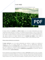 Fertilizar Cultivo de Maiz