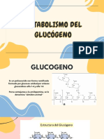 Presentación Metabolismo Del Glucógeno