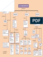 Mapa Conceptual Carbohidratos