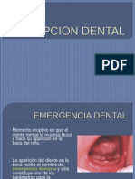 Erupcion Dental