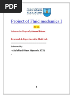 Fluid Mechanics Project Search and Exper