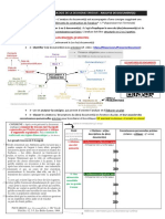 0.2 M Fiche Méthode Analyse