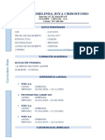 CV Rosa Hermelinda Joya Crisostomo