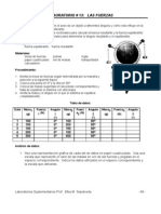 Laboratorio 13 Las Fuerzas 