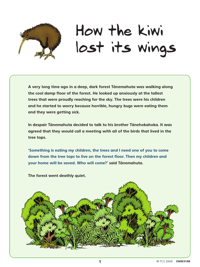 ENW314Bhowthekiwilostitswings PDF