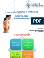 Diarreaaguda Crnica 130623012917 Phpapp01