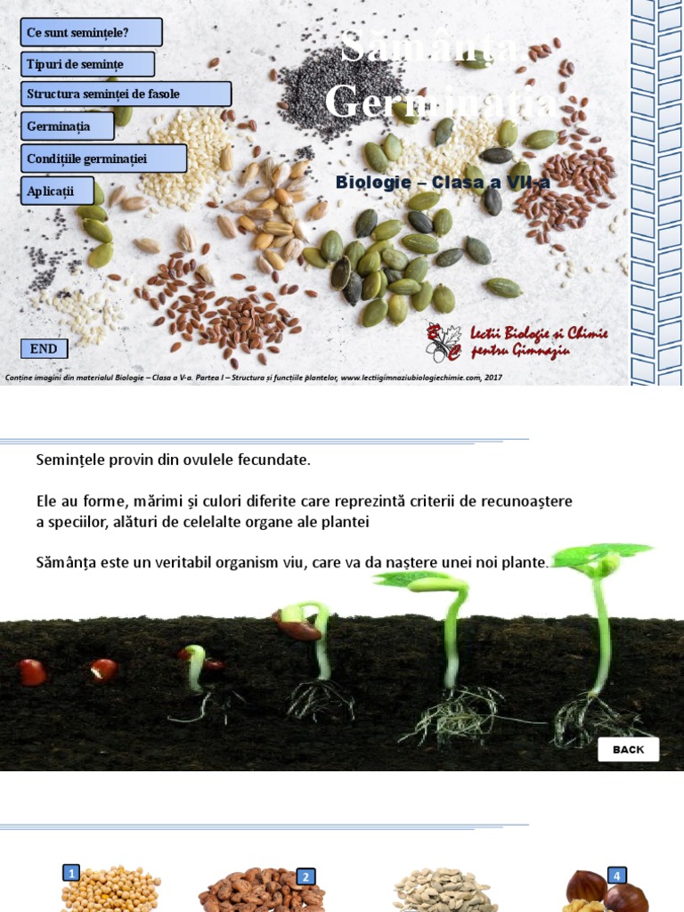763 - Samanta - Germinatia | PDF