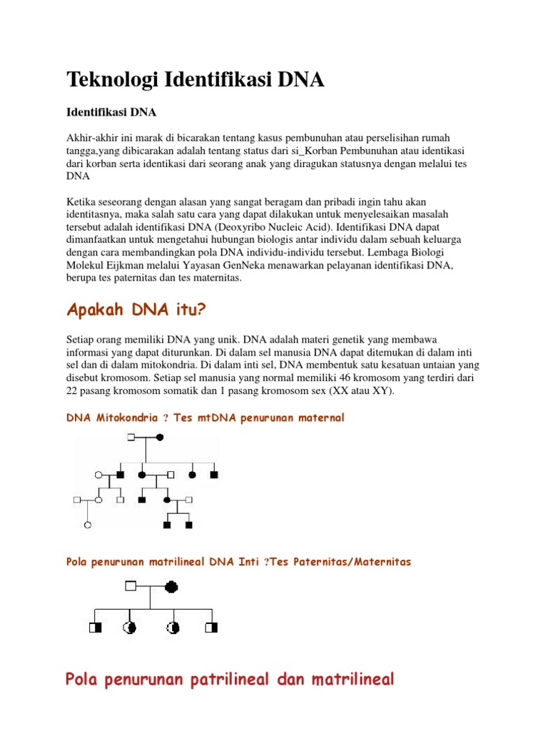 Contoh Surat Hasil Tes Dna Anak Download Contoh Surat Yang Baik 2020