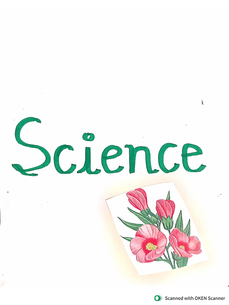 D El Ed 2nd Yr Science File | PDF