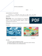 Monocromia:: Policromia: É A Harmonia Conseguida Através de Várias Cores