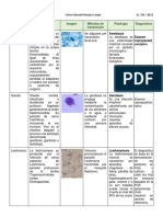 Cuadro principales parasitos (1)