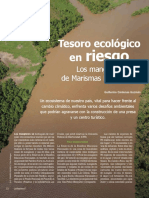 Tesoro-Ecologico-En-Riesgo Manglar