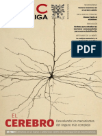 CSIC INVESTIGA Cerebro 2023