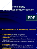 Respiratory Physiology IV