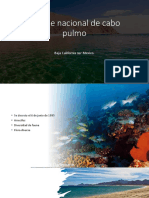 Cabo Pulmo