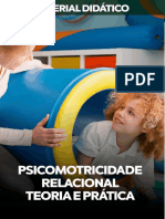 Psicomotricidade Relacional Teoria e Prática