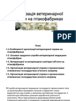 Організація Вет Справи На Птахофабриках