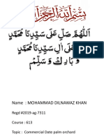 Dilnawaz Khan 19ag7311-1