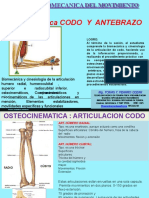 Biomecanica Codo Antebrazo