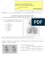 Ficha Avaliação_Sistema Respiratório