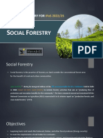 Agroforestry-3 (2022)