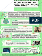 Infografía de Proceso Recortes de Papel Notas Verde