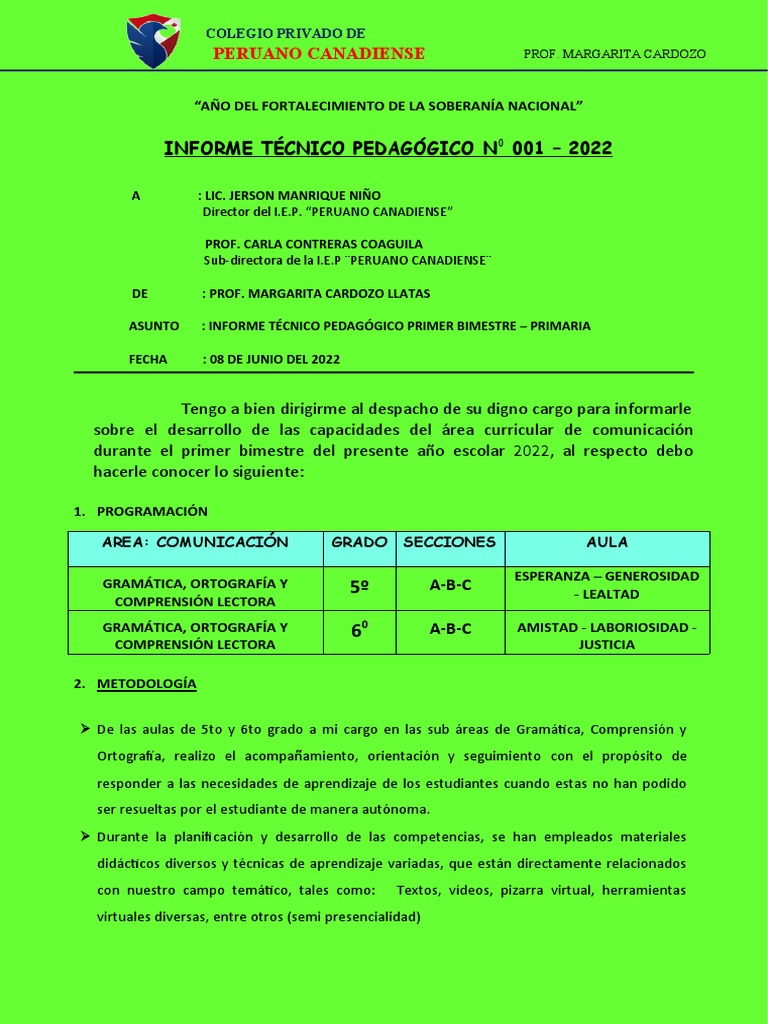 Informe Pedagógico Primaria 2022 | PDF | Aprendizaje | Enseñando