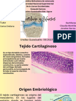 Diapositivas de Histologia