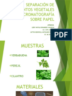 Separación de Pigmentos Vegetales Por Cromatografía Sobre Papel