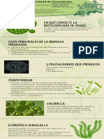 Infografia Moda Sustentable Ilustrado Verde