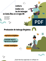 Técnicas de Agricultura Orgánica Aplicadas A La Siembra y Cosecha de Lechugas en Costa Rica