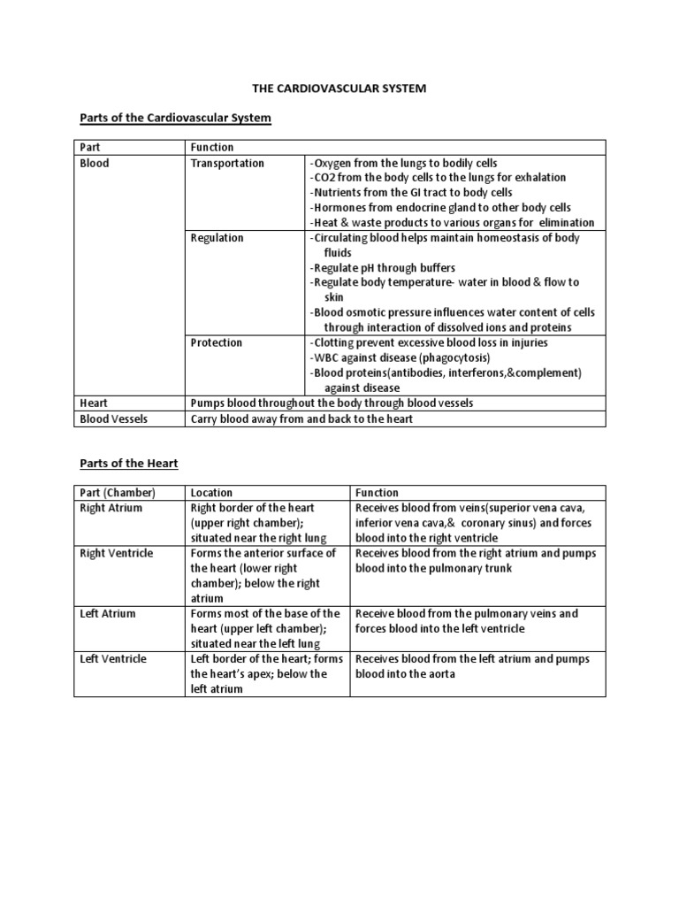 The Cardiovascular System Parts of The Cardiovascular System | PDF ...