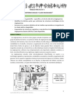 Tpn6 - Angiospermas Basales y Clado Magnoliides - 2021