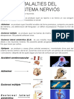 Malalties Completo Maria PDF