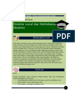 (9) Struktur Sosial Dan Multidimensi Identitas