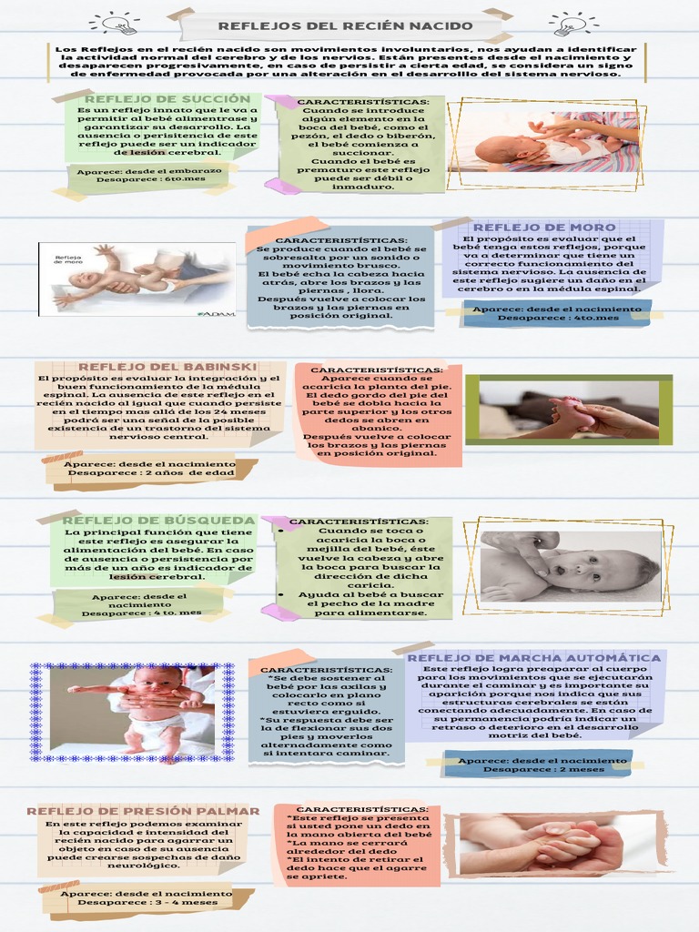 Reflejos Innatos en Recién Nacidos | PDF | Especialidades Medicas ...