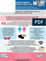 Infografia Incontinencia Urinaria Fernanda Soto