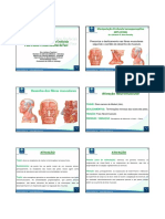 Desenho Das Fibras Musculares 3