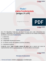 Slide Princípios Fundamentais