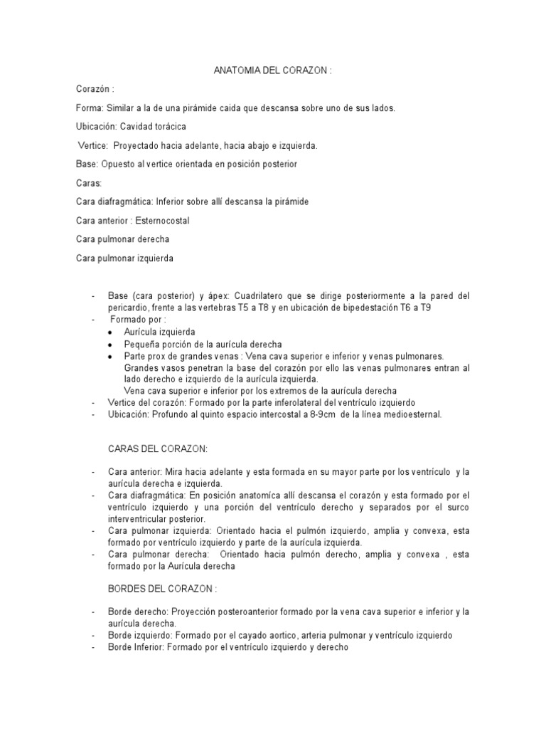 Anatomia Del Corazon Pdf Ventrículo Corazón Corazón