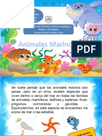 Animales Marinos 1
