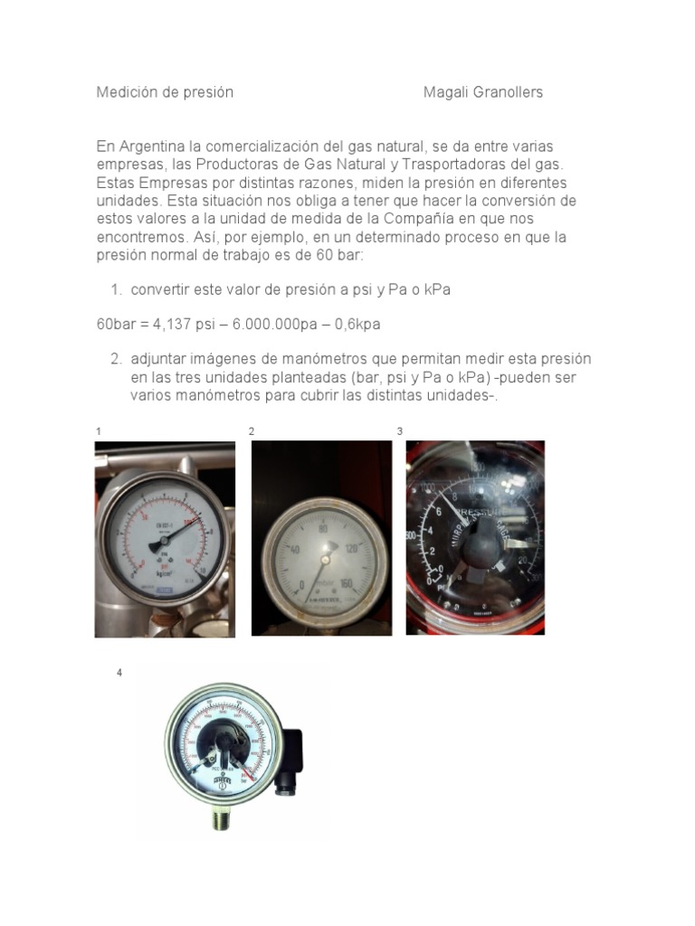 En Argentina La Comercialización Del Gas Natural | PDF