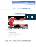 Cultivo Microbiologia-1