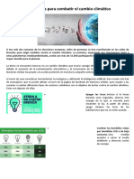 10 Acciones para Combatir El Cambio Climático