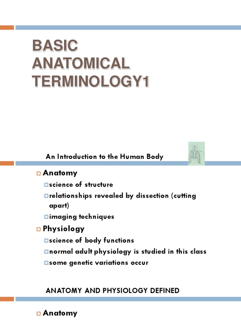 Anatomical Terms Of Location Biology Diagrams