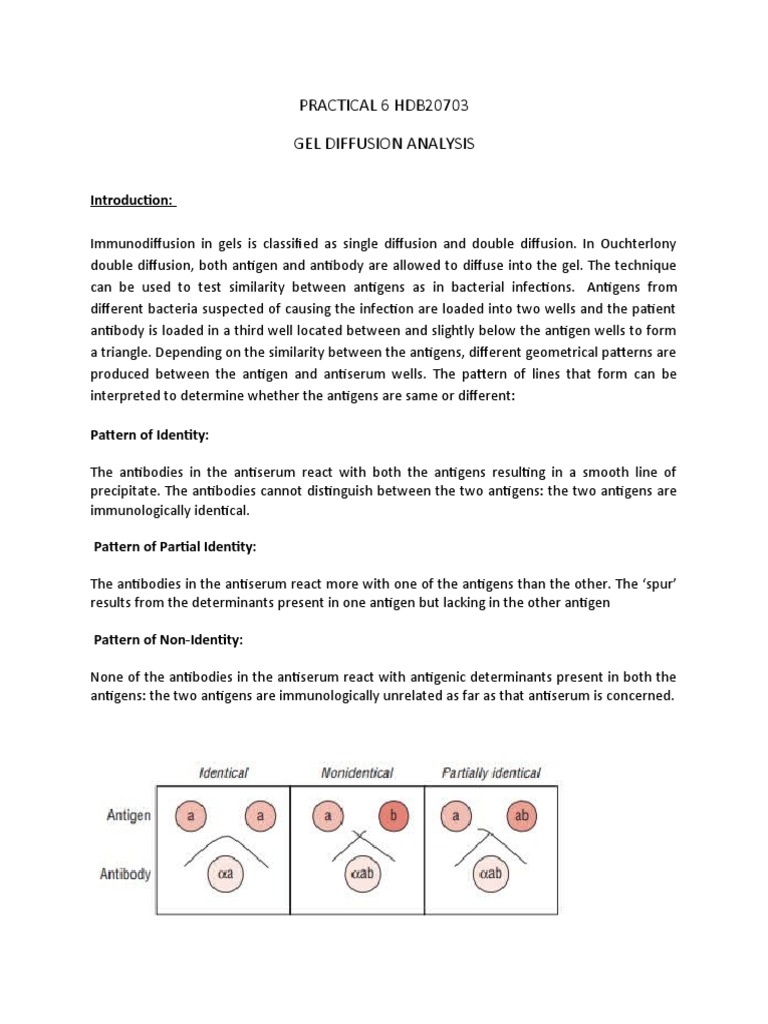 Ouchterlony Double Diffusion Analysis | PDF | Antibody | Polyclonal B ...