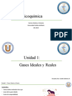 Unidad 1 - Gases Ideales y Reales